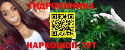 стаф Балаково