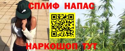 твердый Бийск