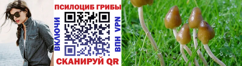 купить наркотики цена  Таганрог  OMG рабочий сайт  Галлюциногенные грибы MAGIC MUSHROOMS 