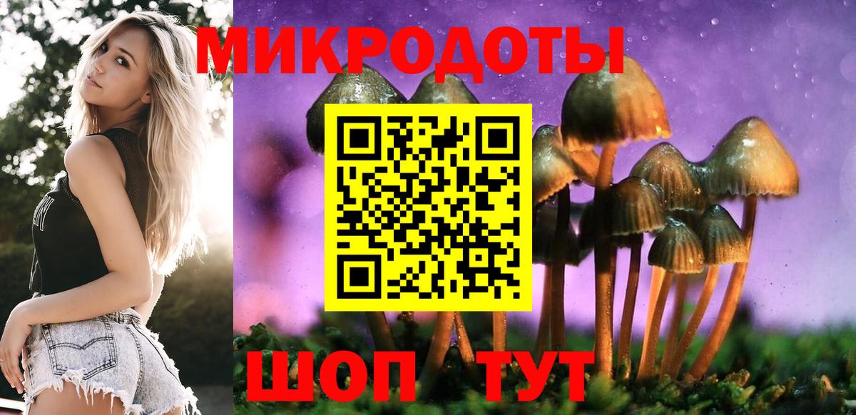 Галлюциногенные грибы Psilocybine cubensis  Вход с VPN  Таганрог 