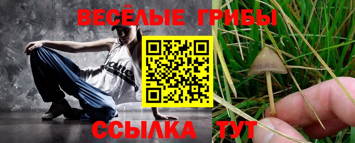 Галлюциногенные грибы прущие грибы Таганрог